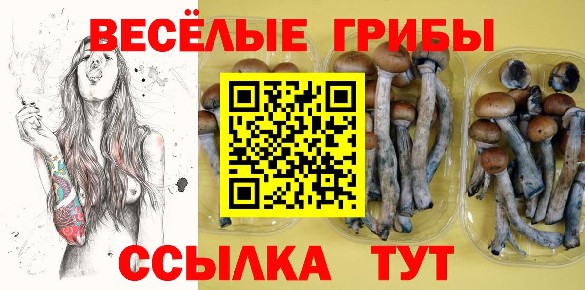 Псилоцибиновые грибы GOLDEN TEACHER  Галлюциногенные грибы MAGIC MUSHROOMS  Альметьевск  Вход с VPN 