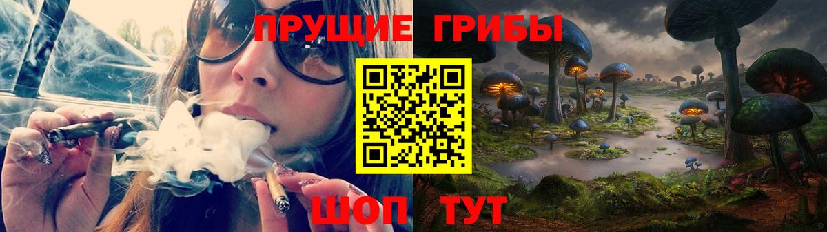 Псилоцибиновые грибы мицелий Альметьевск